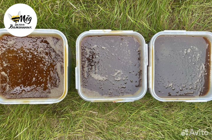 Мёд башкирский свежий. Собственная пасека