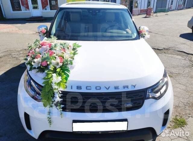 Отвезу или встречу в аэропорту