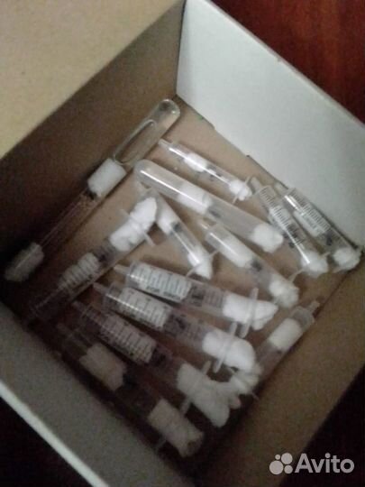 Матки муравьёв