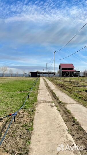 Зарабатывай на Базе Отдыха