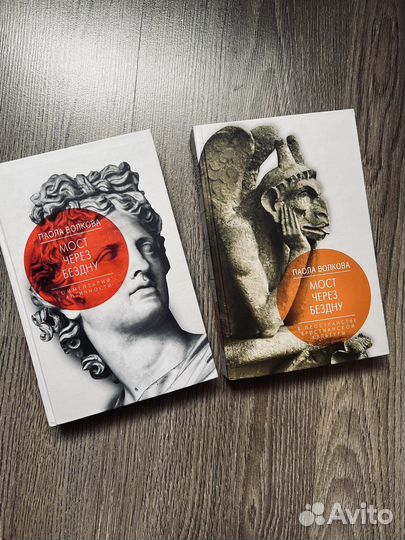 2 тома книг «Мост через бездну»