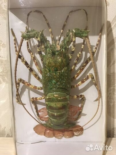 Чучело лангуста