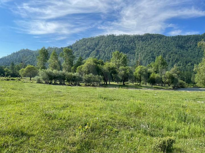 Участок 40 сот. (ИЖС)