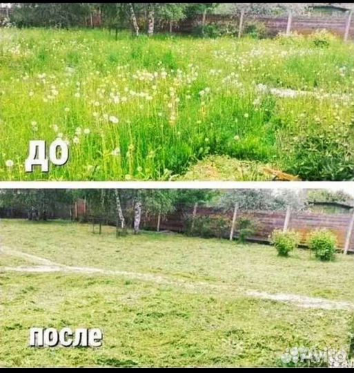 Покос травы триммером