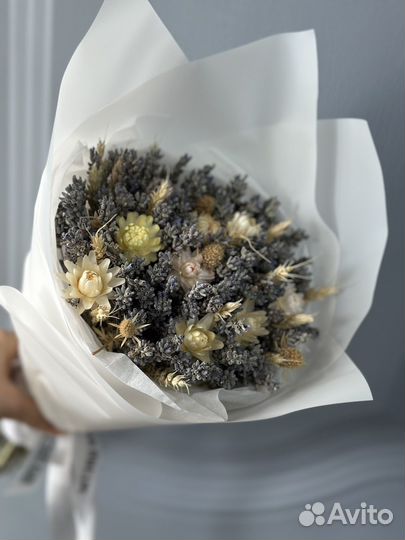 Лаванда сухоцветы