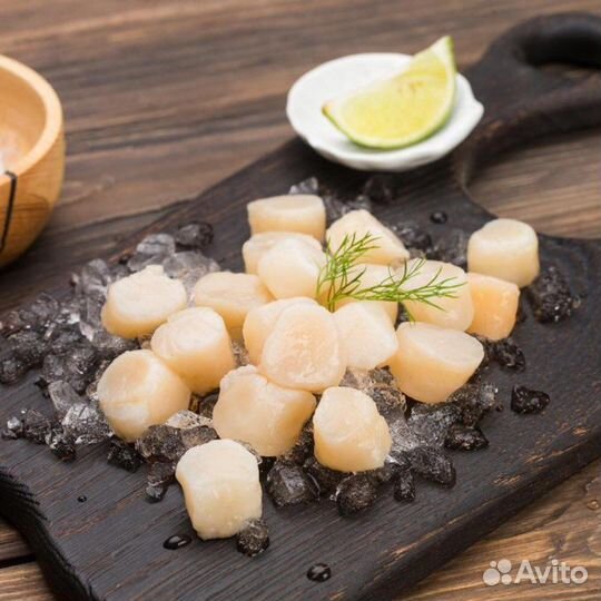 Гребешок морской