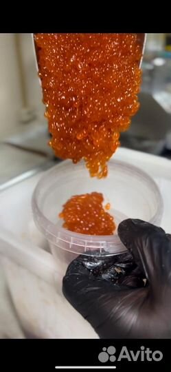 Красная икра горбуши