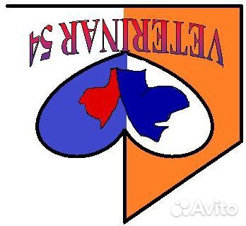 Эвтаназия домашних животных