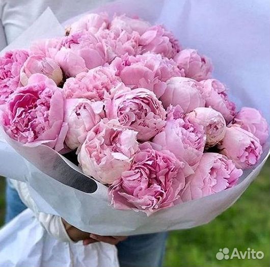 Пионы Букет