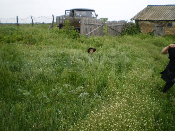 Дом 50 м² на участке 40 сот.