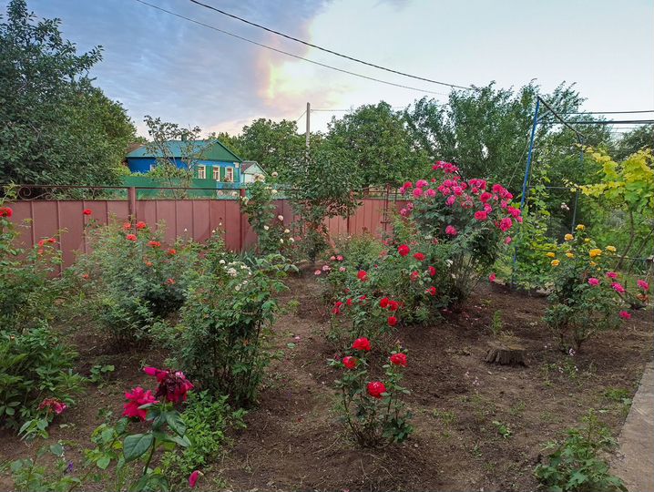 Дом 57,3 м² на участке 50 сот.