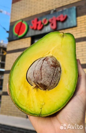 Авокадо свежее из Таиланда