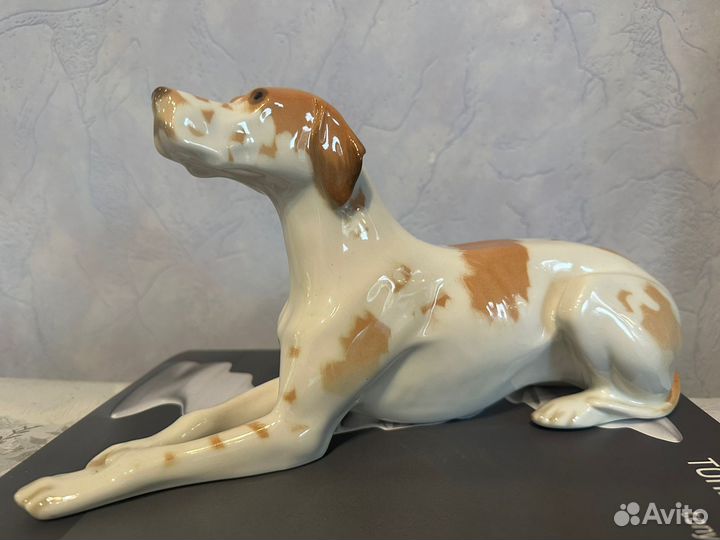 Пойнтер лфз