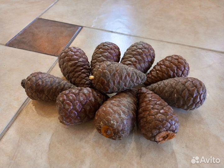 Шишки