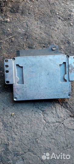 Мозги соатэ