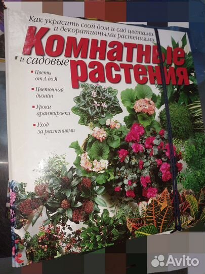 Энциклопедии для детей и взрослых