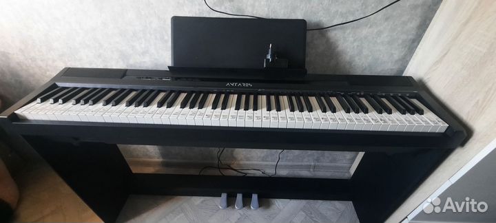 Antares D-300 цифровое фортепиано