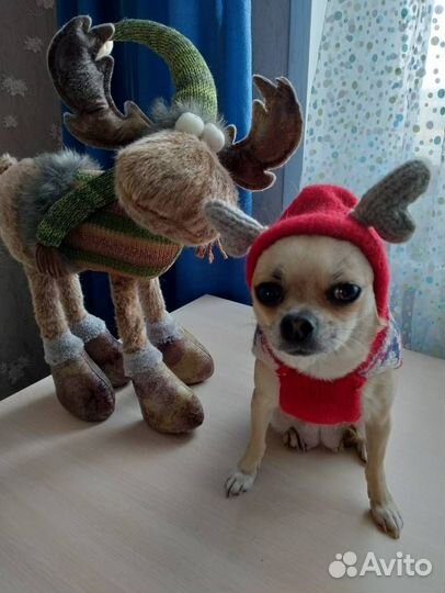 Вязаный свитер Олени пр-ва США для чихуа, йорков