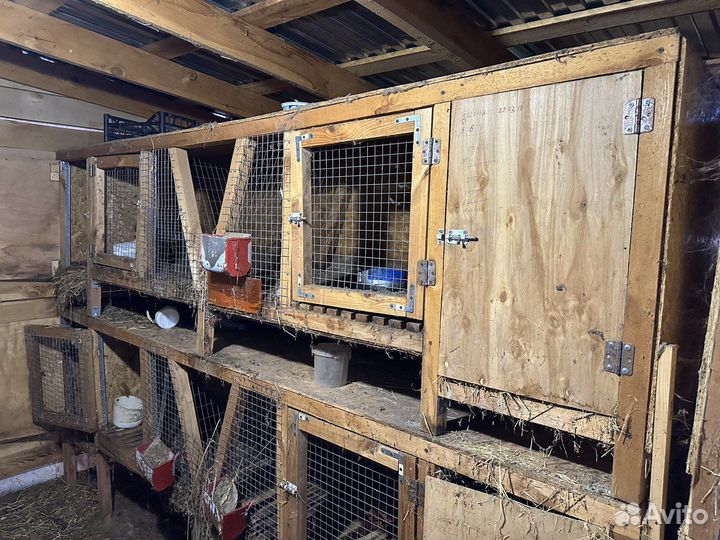 Клетки для кроликов