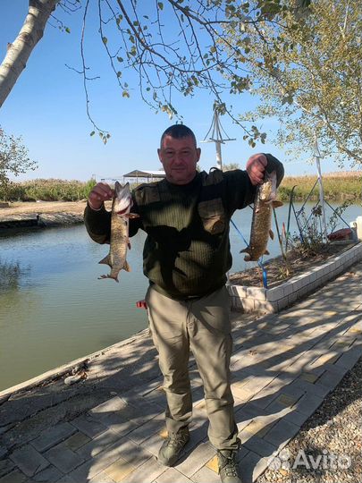 Платная рыбалка