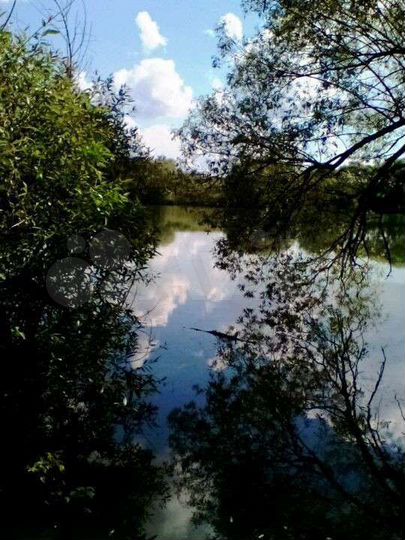 Дом 56 м² на участке 50 сот.