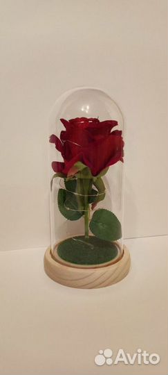 Красная роза в колбе с газоном и подсветкой стекло