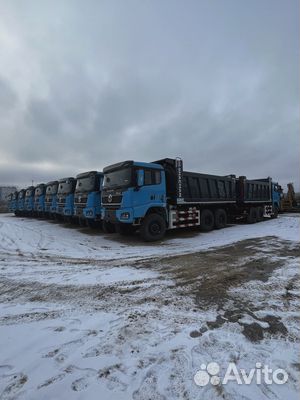 Shacman (Shaanxi) SX32586V385, 2023