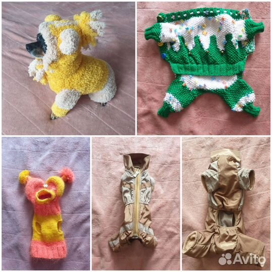 Одежда для собак (той, чихуахуа, шпиц, ёрк)