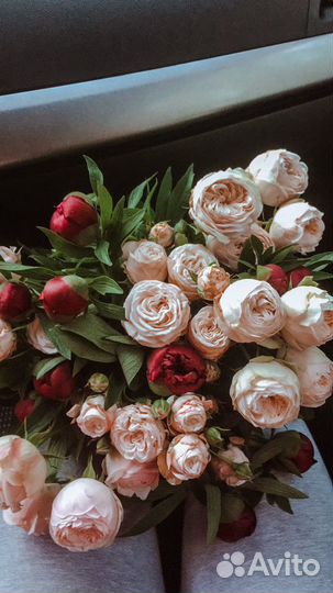 Пионовидная Роза