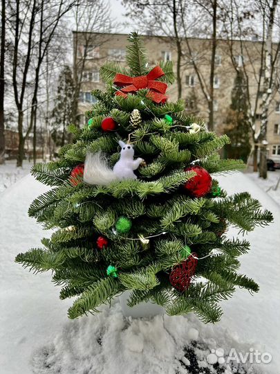 Новогодняя композиция Елка