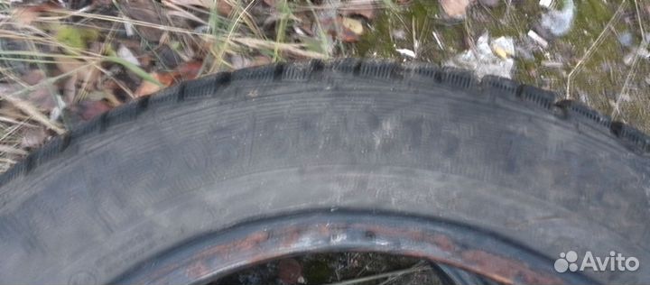 Gislaved Nord Frost 5 205/55 R16