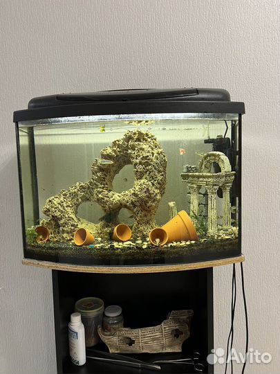 Аквариум с тумбой 60л