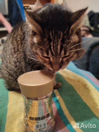 Банка современных монет 1 и 5 копеек 2 килограмма