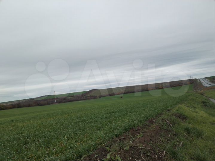 Участок 13 га (СНТ, ДНП)