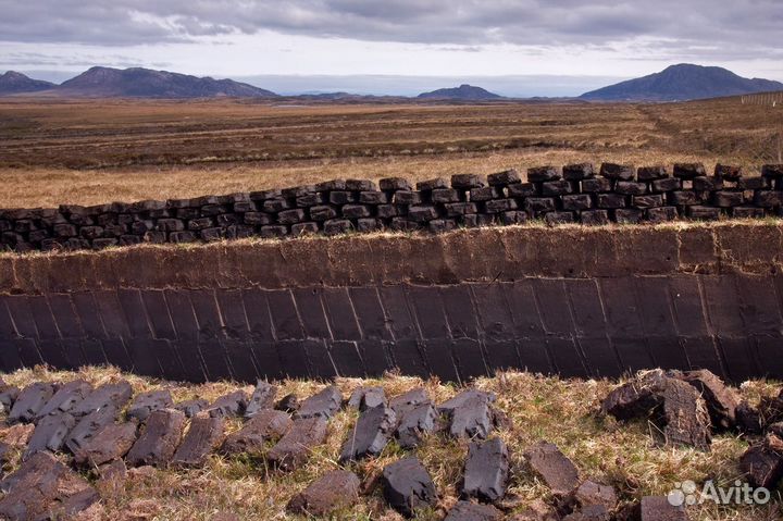 Торф от производителя