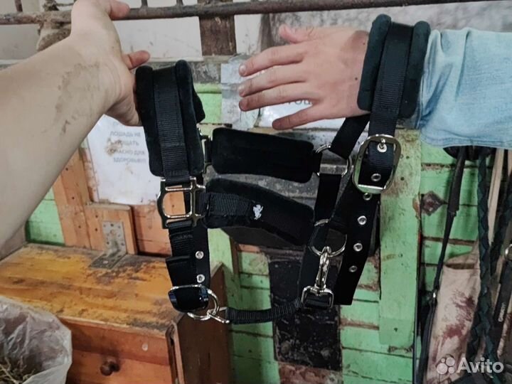 Недоуздок для лошади