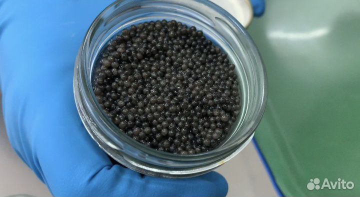 Черная икра премиум 100гр