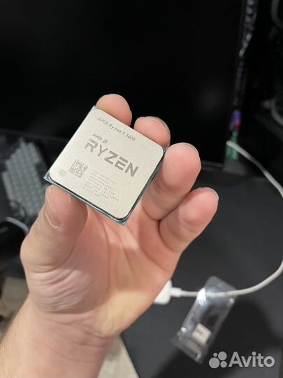Amd ryzen 5 5600 oem