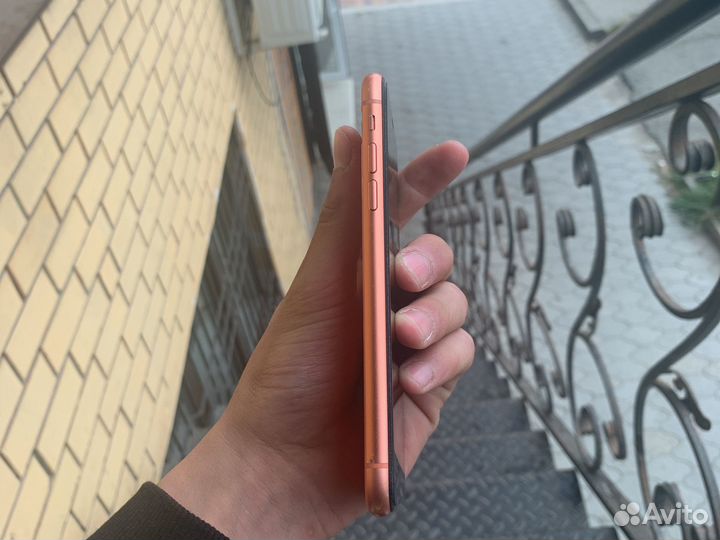 iPhone xr