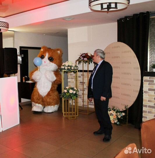 Поздравление ростовой куклы Котика Рыжика