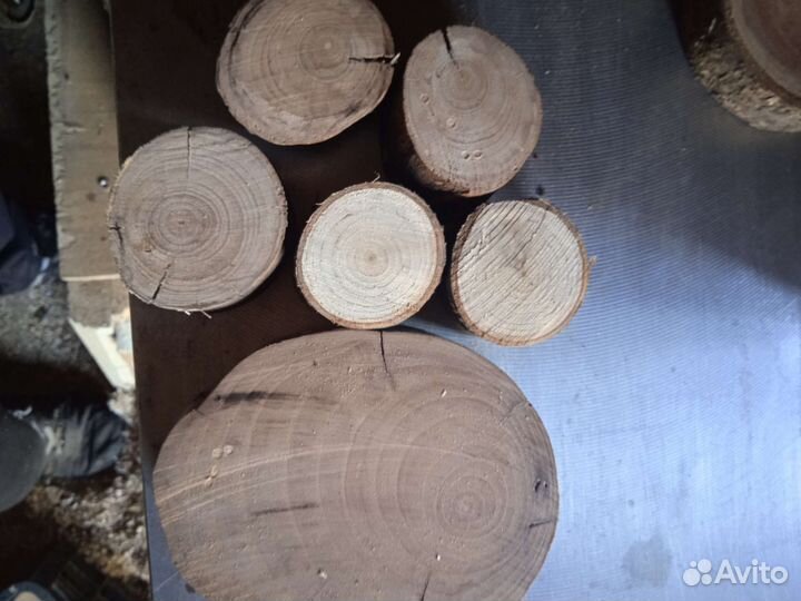 Спилы вишня