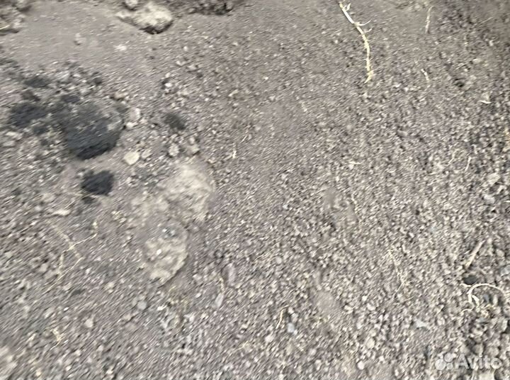 Чернозем, щебень, песок доставка