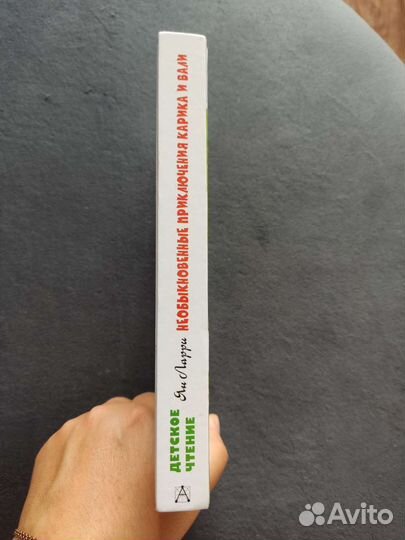 Ян Ларри Приключения Карика и Вали