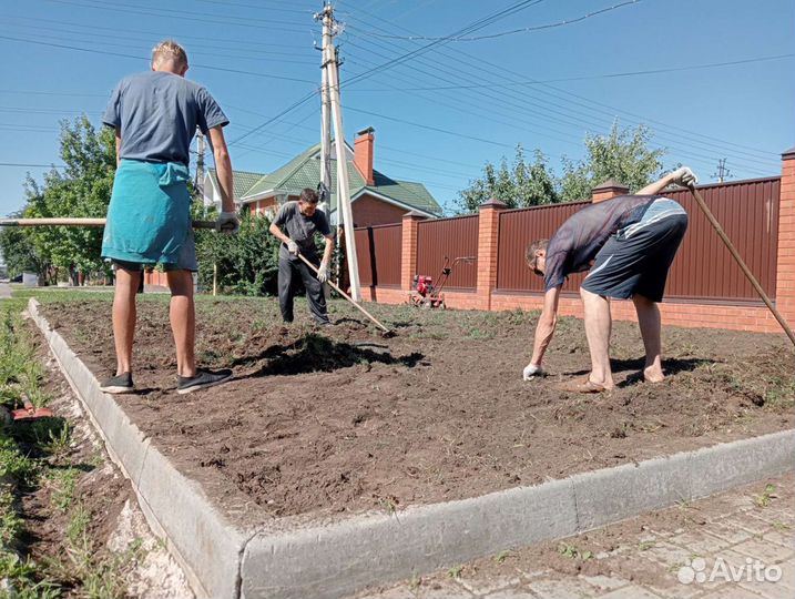 Грузчики, разнорабочие