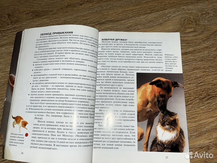 Книжки про животных