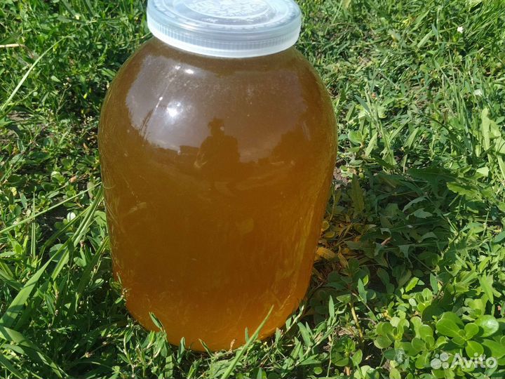 Мед липа банки 3 литра