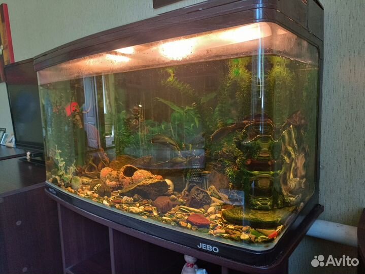Продам аквариум Jebo R 3100
