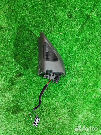 Динамик передний левый Volkswagen Passat B6