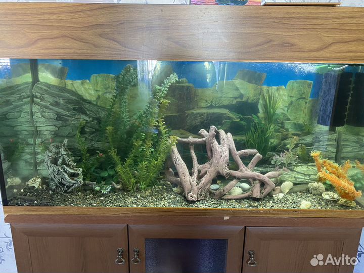 Аквариум с тумбой 350 литров