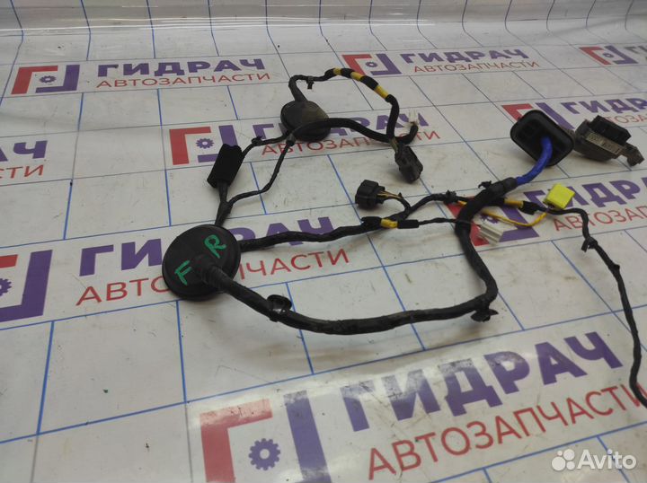Проводка двери передней правой Kia Soul 2 (PS) 916